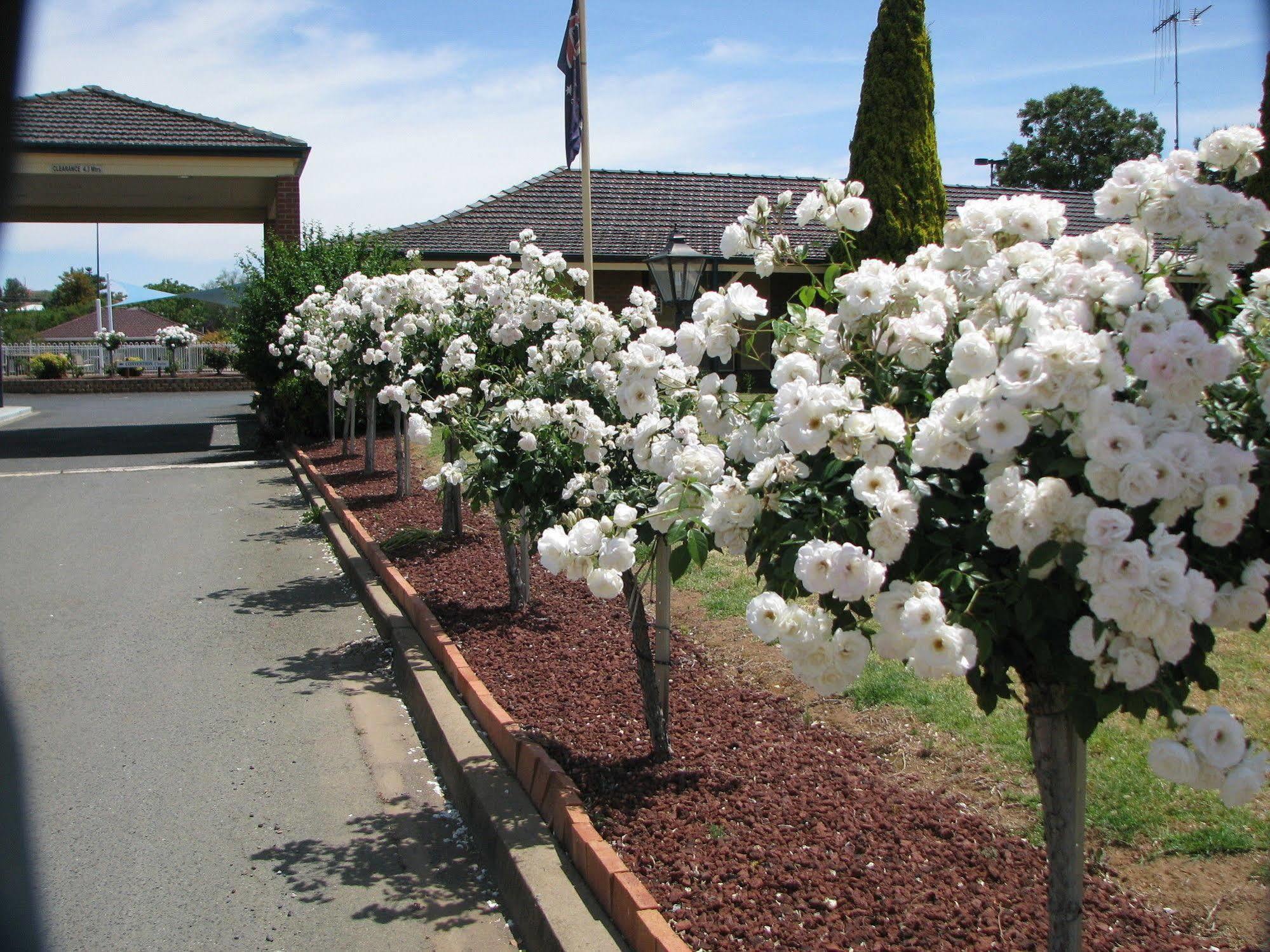 Bushman'S Motor Inn Parkes Zewnętrze zdjęcie